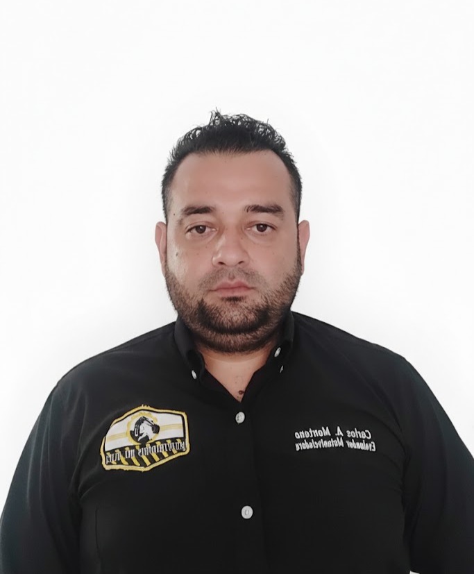 Carlos Arturo Montano Puentes